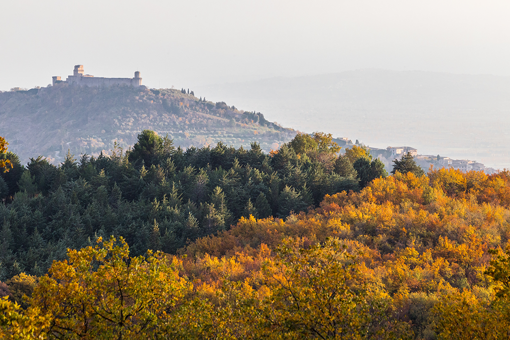 Visitare Assisi a novembre